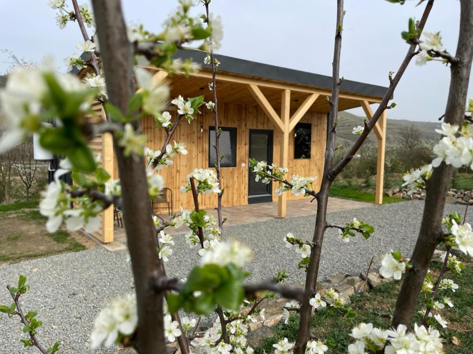 Kubiq Transalpina Villa Petresti Bagian luar foto